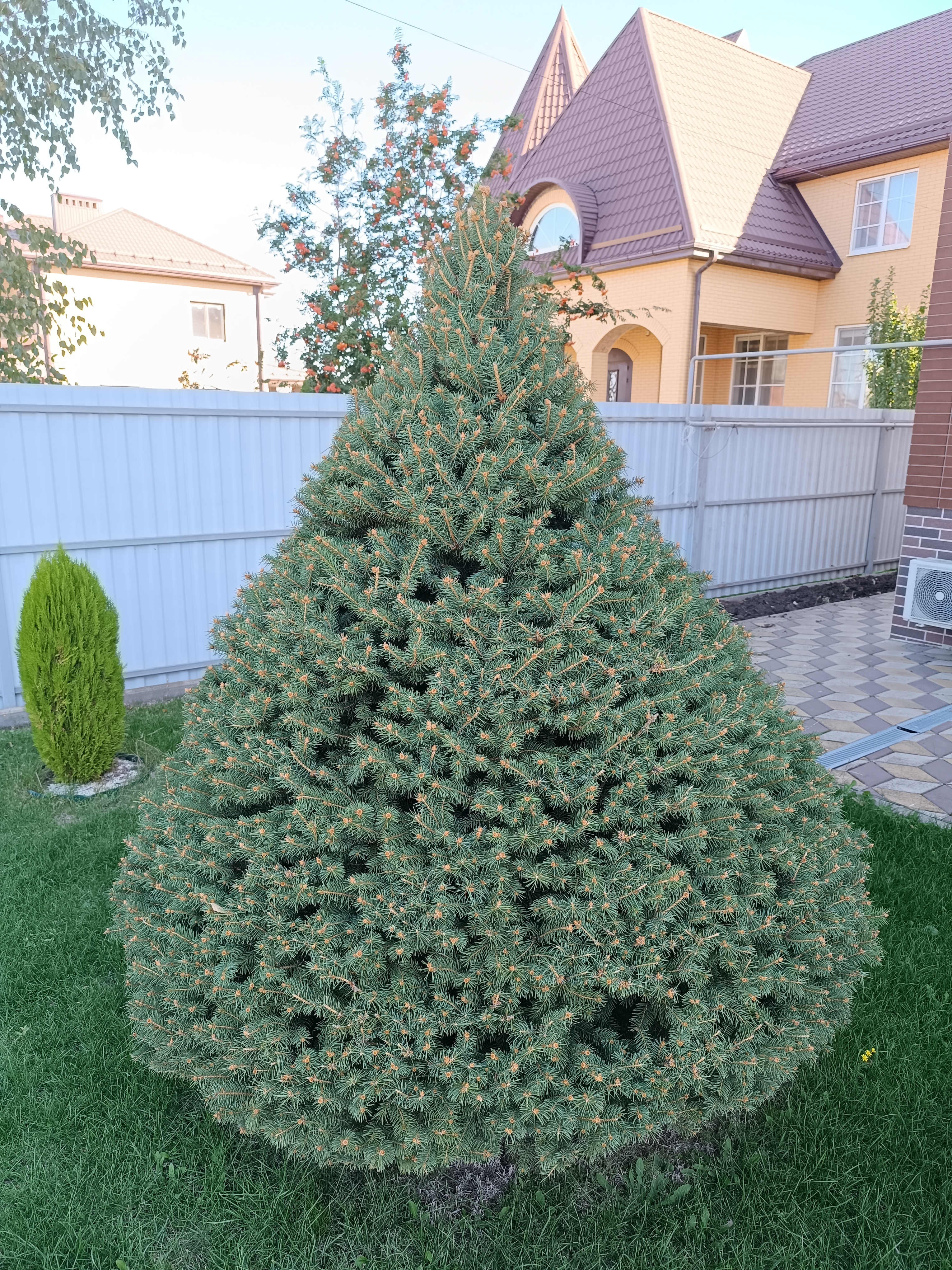 Заголовок
